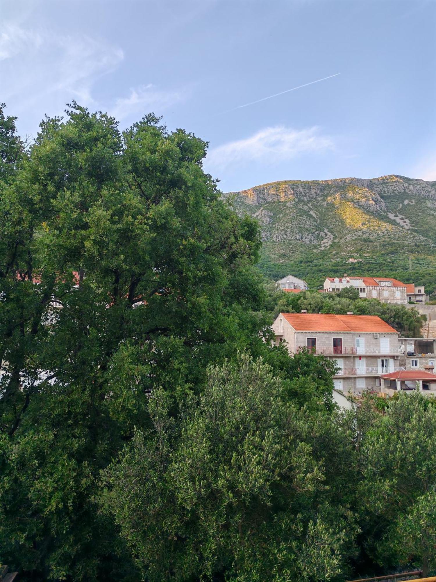 Apartment Oscar Mokošica Rom bilde